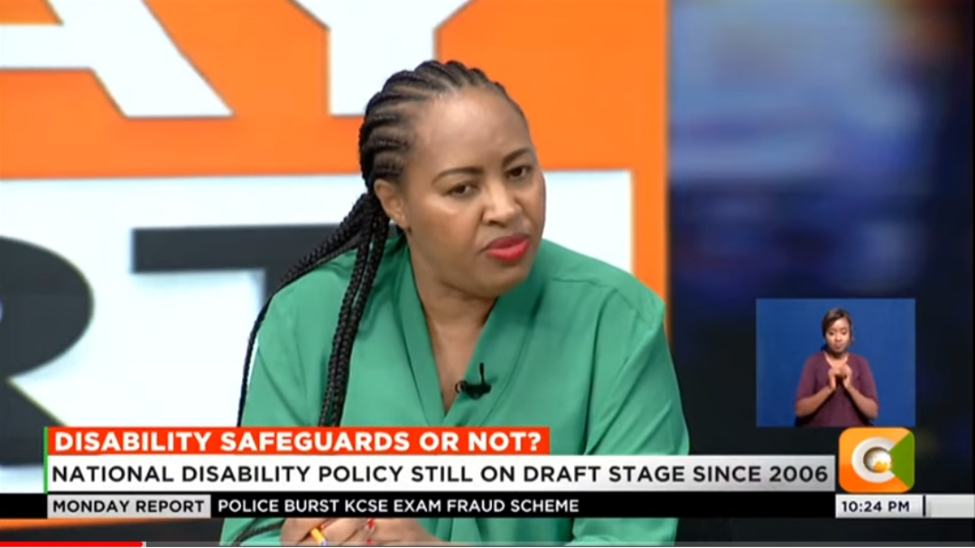 National Disability Draft Yet to be amended since 2006 National Disability Draft Yet to be amended since 2006