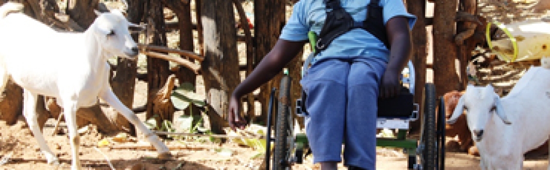 Livelihood- Economic Empowerment Pillar
